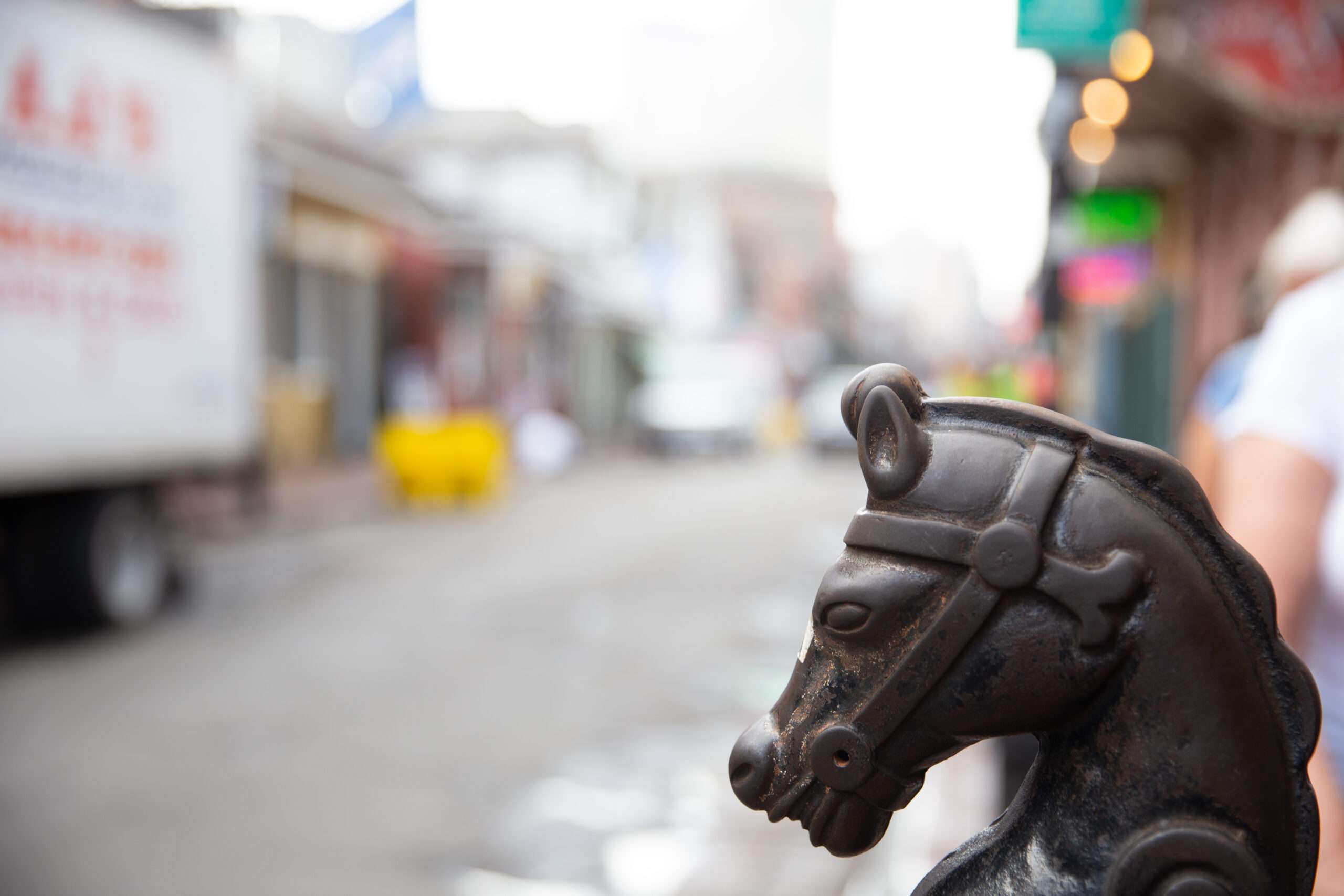 A close up of the iconic iron horse heads that line the streets in New Orleans.